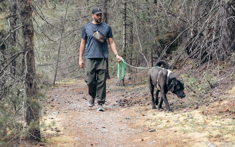 Chad DeAbreu walking a dog on a forest trail near Whistler